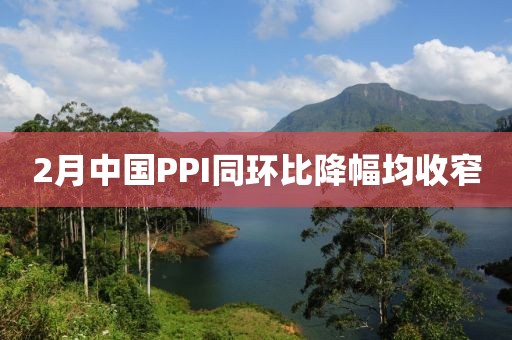2月中國(guó)PPI同環(huán)比降幅均收窄