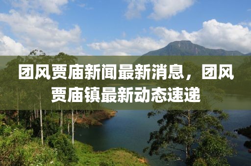 團(tuán)風(fēng)賈廟新聞最新消息，團(tuán)風(fēng)賈廟鎮(zhèn)最新動(dòng)態(tài)速遞