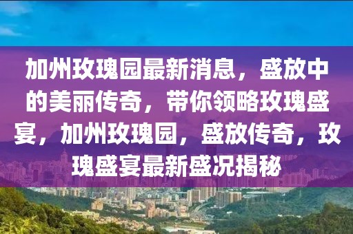 加州玫瑰園最新消息，盛放中的美麗傳奇，帶你領略玫瑰盛宴，加州玫瑰園，盛放傳奇，玫瑰盛宴最新盛況揭秘