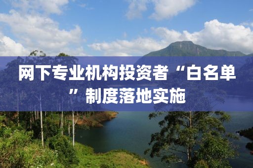 網(wǎng)下專業(yè)機(jī)構(gòu)投資者“白名單”制度落地實(shí)施