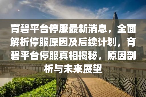 育碧平臺停服最新消息，全面解析停服原因及后續(xù)計劃，育碧平臺停服真相揭秘，原因剖析與未來展望