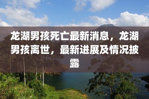 龍湖男孩死亡最新消息，龍湖男孩離世，最新進展及情況披露