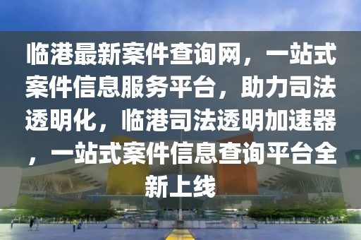 臨港最新案件查詢網，一站式案件信息服務平臺，助力司法透明化，臨港司法透明加速器，一站式案件信息查詢平臺全新上線