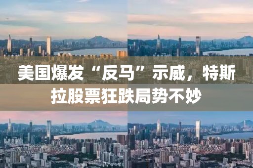 美國爆發(fā)“反馬”示威，特斯拉股票狂跌局勢(shì)不妙