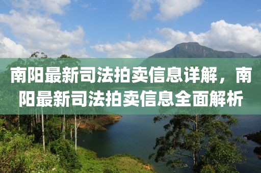 南陽(yáng)最新司法拍賣(mài)信息詳解，南陽(yáng)最新司法拍賣(mài)信息全面解析