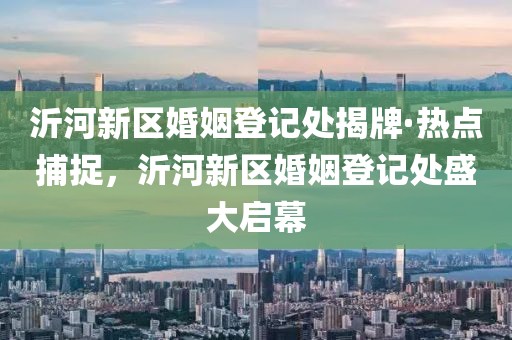 沂河新區(qū)婚姻登記處揭牌·熱點捕捉，沂河新區(qū)婚姻登記處盛大啟幕
