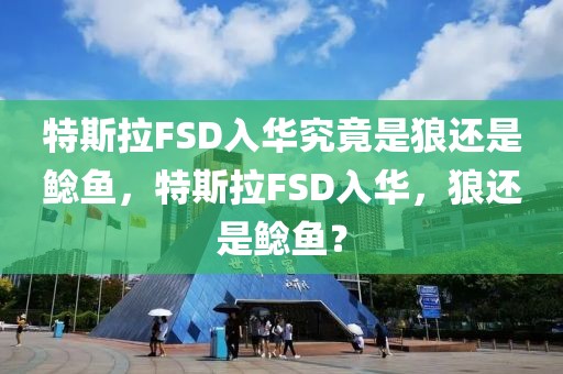 特斯拉FSD入華究竟是狼還是鯰魚，特斯拉FSD入華，狼還是鯰魚？