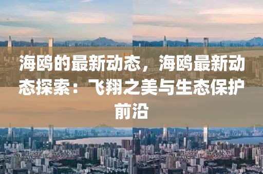 海鷗的最新動(dòng)態(tài)，海鷗最新動(dòng)態(tài)探索：飛翔之美與生態(tài)保護(hù)前沿