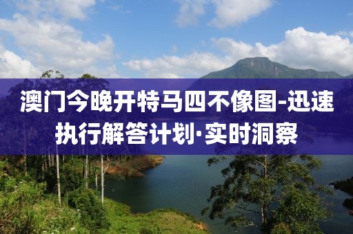澳門今晚開特馬四不像圖-迅速執(zhí)行解答計劃·實時洞察