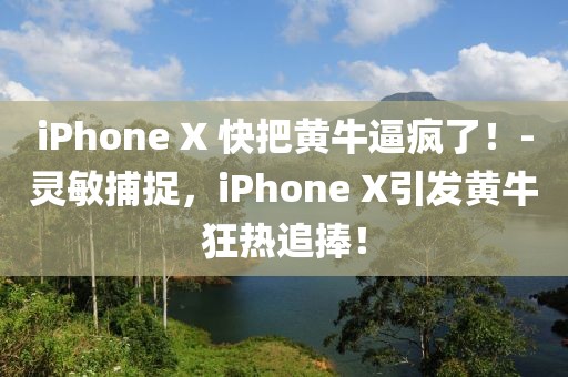 iPhone X 快把黃牛逼瘋了！-靈敏捕捉，iPhone X引發(fā)黃?？駸嶙放?！