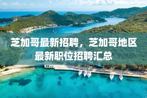 芝加哥最新招聘，芝加哥地區(qū)最新職位招聘匯總