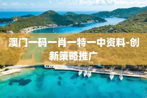 澳門一碼一肖一特一中資料-創(chuàng)新策略推廣