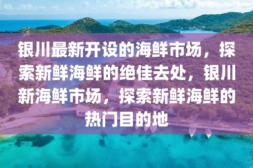 銀川最新開設(shè)的海鮮市場(chǎng)，探索新鮮海鮮的絕佳去處，銀川新海鮮市場(chǎng)，探索新鮮海鮮的熱門目的地