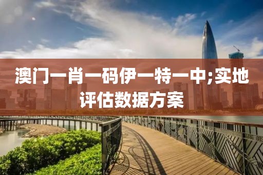 澳門一肖一碼伊一特一中;實地評估數(shù)據(jù)方案