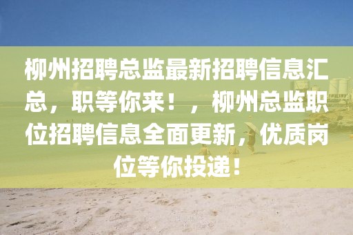 柳州招聘總監(jiān)最新招聘信息匯總，職等你來！，柳州總監(jiān)職位招聘信息全面更新，優(yōu)質(zhì)崗位等你投遞！