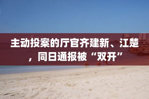 主動投案的廳官齊建新、江楚，同日通報被“雙開”