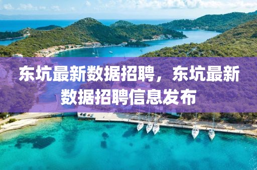 東坑最新數(shù)據(jù)招聘，東坑最新數(shù)據(jù)招聘信息發(fā)布