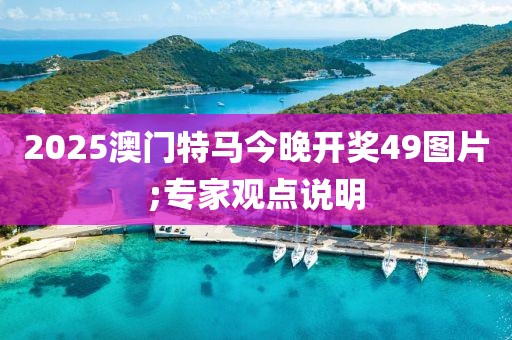 2025澳門特馬今晚開獎49圖片;專家觀點說明