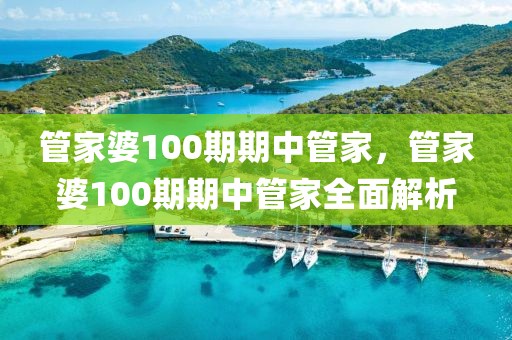 管家婆100期期中管家，管家婆100期期中管家全面解析