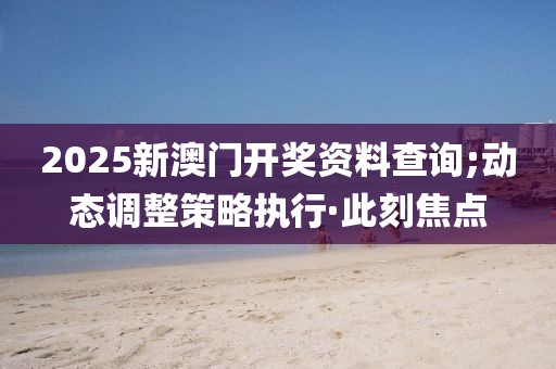 2025新澳門開獎資料查詢;動態(tài)調(diào)整策略執(zhí)行·此刻焦點