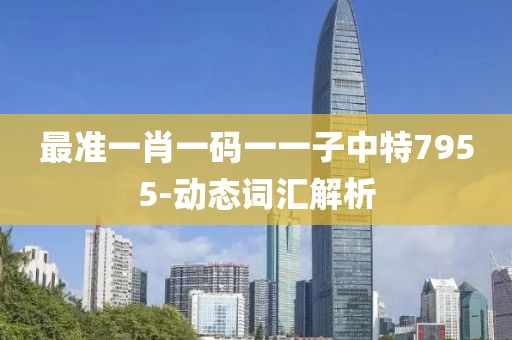 最準(zhǔn)一肖一碼一一子中特7955-動(dòng)態(tài)詞匯解析