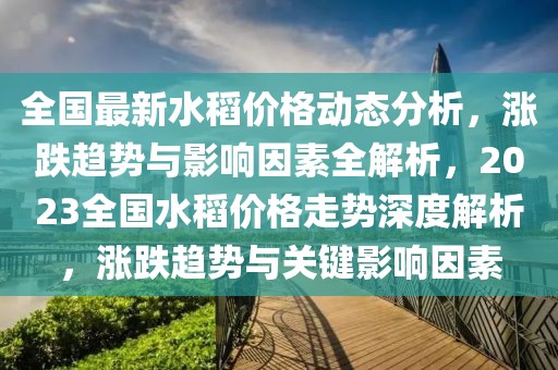 全國最新水稻價格動態(tài)分析，漲跌趨勢與影響因素全解析，2023全國水稻價格走勢深度解析，漲跌趨勢與關(guān)鍵影響因素