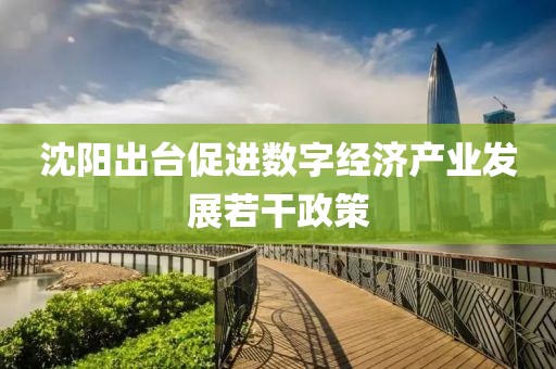 沈陽(yáng)出臺(tái)促進(jìn)數(shù)字經(jīng)濟(jì)產(chǎn)業(yè)發(fā)展若干政策