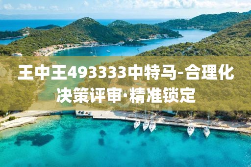 王中王493333中特馬-合理化決策評(píng)審·精準(zhǔn)鎖定