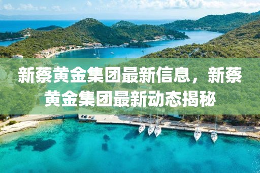 新蔡黃金集團(tuán)最新信息，新蔡黃金集團(tuán)最新動(dòng)態(tài)揭秘