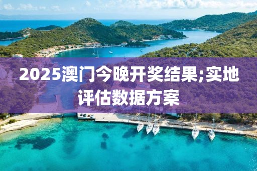 2025澳門今晚開獎結(jié)果;實(shí)地評估數(shù)據(jù)方案