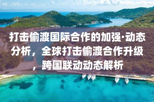 打擊偷渡國(guó)際合作的加強(qiáng)·動(dòng)態(tài)分析，全球打擊偷渡合作升級(jí)，跨國(guó)聯(lián)動(dòng)動(dòng)態(tài)解析