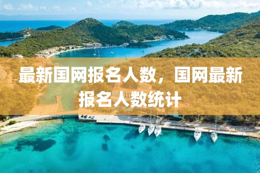 最新國(guó)網(wǎng)報(bào)名人數(shù)，國(guó)網(wǎng)最新報(bào)名人數(shù)統(tǒng)計(jì)