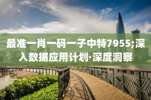 最準一肖一碼一子中特7955;深入數(shù)據(jù)應用計劃·深度洞察