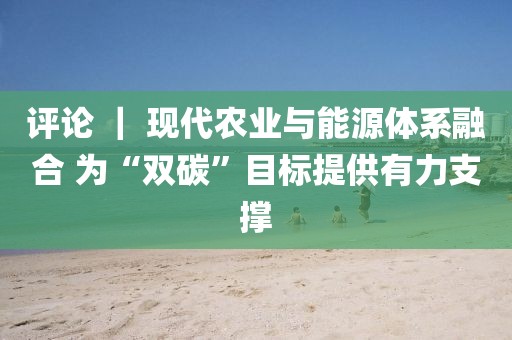評(píng)論 ｜ 現(xiàn)代農(nóng)業(yè)與能源體系融合 為“雙碳”目標(biāo)提供有力支撐