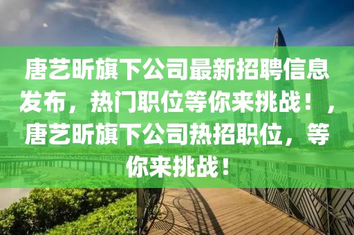 唐藝昕旗下公司最新招聘信息發(fā)布，熱門職位等你來挑戰(zhàn)！，唐藝昕旗下公司熱招職位，等你來挑戰(zhàn)！
