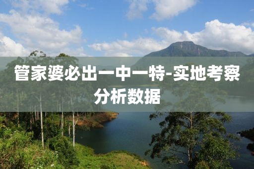 管家婆必出一中一特-實地考察分析數(shù)據(jù)