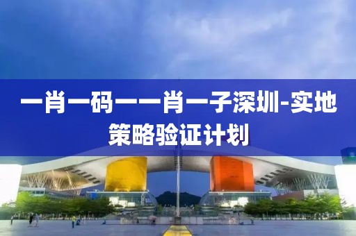 一肖一碼一一肖一子深圳-實(shí)地策略驗(yàn)證計劃