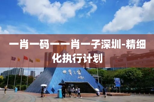 一肖一碼一一肖一子深圳-精細化執(zhí)行計劃