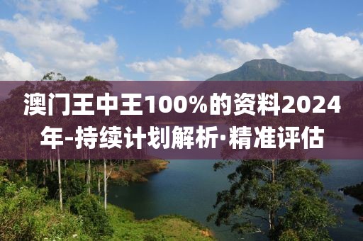 澳門王中王100%的資料2024年-持續(xù)計劃解析·精準評估