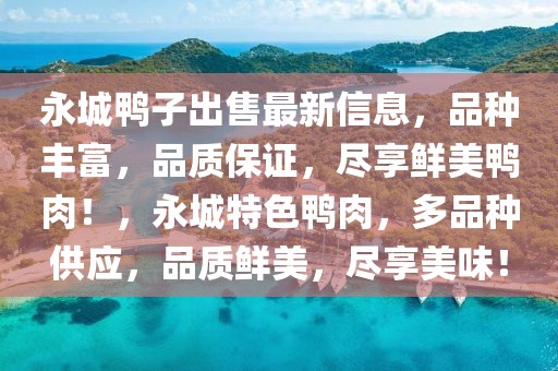 永城鴨子出售最新信息，品種豐富，品質保證，盡享鮮美鴨肉！，永城特色鴨肉，多品種供應，品質鮮美，盡享美味！